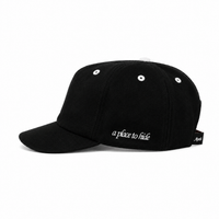 Team Logo Hat - Black