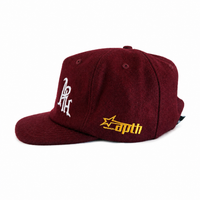 Team Logo Hat - Maroon
